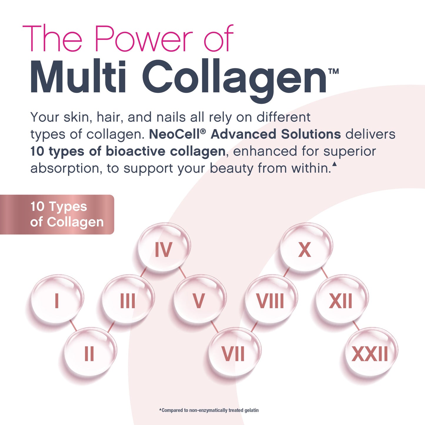 Multi Collagen + Biotin Liquid Advanced Delicious Fruit Punch Flavor, 16 oz Liquid